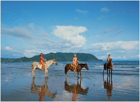 Horseback riding at the All Inclusive Hotel Barcelo Tambor Beach in Costa Rica