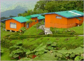 The Mirador Lodge in Monteverde, Costa Rica