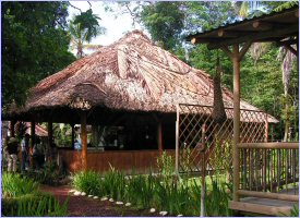 Restaurant at the Monkeys Lodge in Tortuguero, Costa Rica