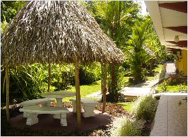 Green surroundings of the Playa Espadilla Hotel in Manuel Antonio