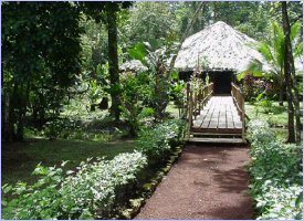 The Samoa Lodge in Tortuguero, Costa Rica