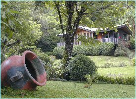 The Sapo Dorado Hotel is surrounded by Nature
