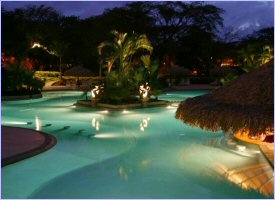 Take a plunge in our swimming pool to relax the night away in Tamarindo Diria