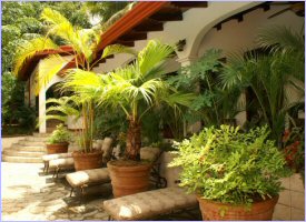 The Villa Lirio Hotel in Maneul Antonio, Costa Rica