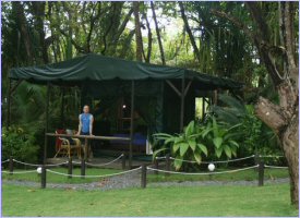Green surroundings of the Ylang Ylang Hotel in Costa Rica