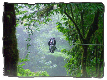 Ziplining in the Costa Rican forest