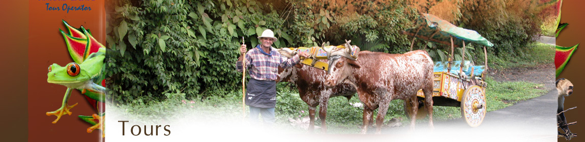 Oxcart transportation in Costa Rica, come to Costa Rica and experience it's friendly culture