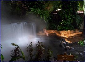 The Tabacon Hot Springs in Arenal, Costa Rica