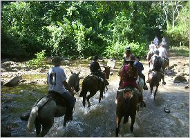 Horseback riding in Arenal through a small creek