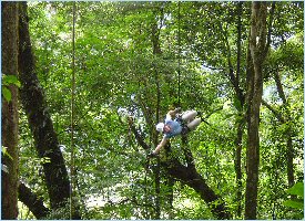 Rappelling is optional at the zipline in Costa Rica