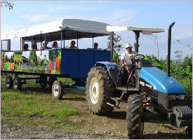 Tractor ride in Arenal
