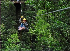 Ziplining through the forest in Costa Rica
