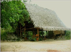 Indigenous style building