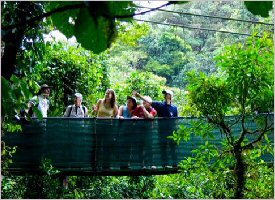 Hanging Bridges in Monteverde, Costa Rica