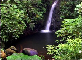 Crystal clear waterfall in Monteverde, Costa Rica
