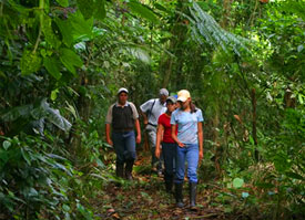 Walking through the forest in the Sarapiqui area in Costa Rica