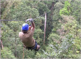 Zipline through the forest in Costa Rica