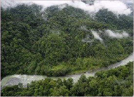 The Pacuare river in Costa Rica