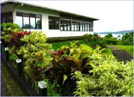 Surroundings include our gardens and the Arenal lake
