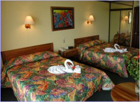 Ample rooms for your comfort