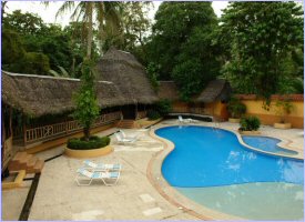 Swimming Pool at El Bambú hotel