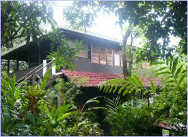La Paloma Lodge in Osa, Costa Rica