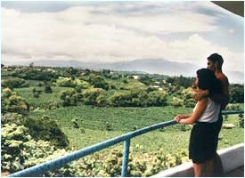 Natural views from the Finca Rosa Blaca Hotel in Costa Rica