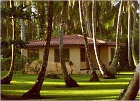 Natural surrounding grounds at the Turtle Beach Lodge