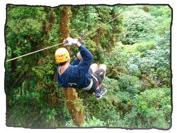 Zipline in the Costa Rican forest