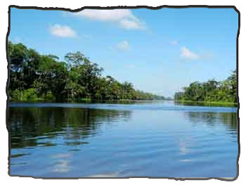 The Tortuguero canals are filled with sights