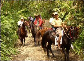 Feel like a true cowboy or cowgirl on the property trails