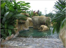 The Baldi Hot Springs