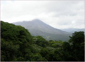 Rainforest in the Arenal Volcano area in Costa Rica