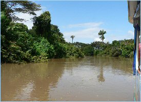 Cano negro tour through the river