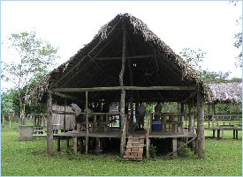 Houses are constructed above the ground to avoid flooding