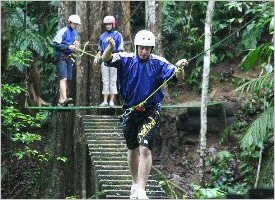 Walking on a wooden bridge is challenging and safe