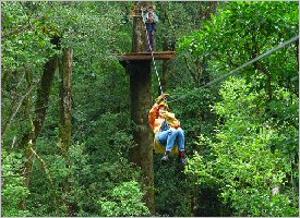 Glide in the forest on a Zipline
