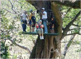 Zipline from tree to tree in Costa Rica