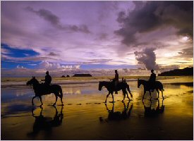 Horseback riding on the Manuel Antonio Beach