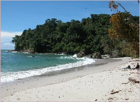 The Manuel Antonio National Park Beach