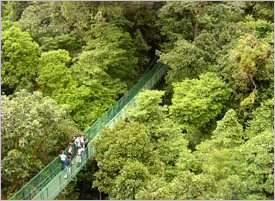 Hanging bridges complement the Zipline adventure