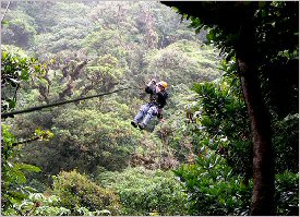 Ziplining through the forest in Costa Rica