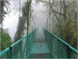 Hanging bridges in Monteverde