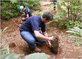 Dig a hole to plant your tree in Monteverde, Costa Rica