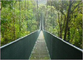 Hanging bridges in Monteverde, Costa Rica