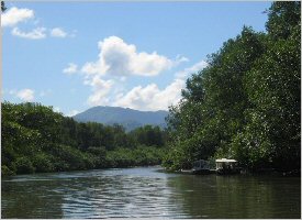 Navigating the Tarcoles river