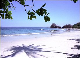 Beach at the Punta Leona Resort in Costa Rica