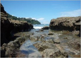 The rocky coast also provides a great way to spot wildlife