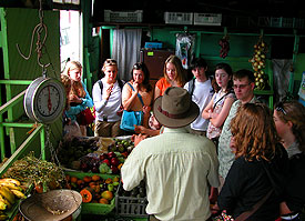 The fruit shop has many different fruits from Costa Rica