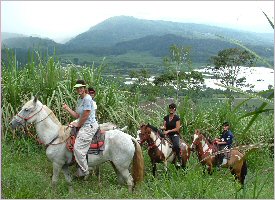 We ride through the plains and forest